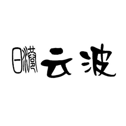 日照云波商務(wù)有限公司